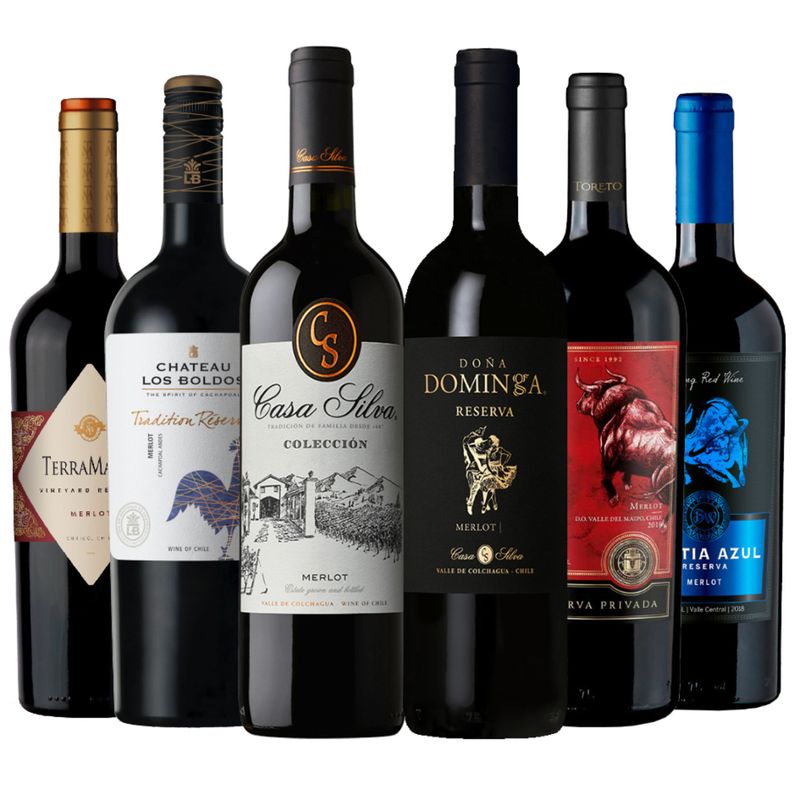 BBVINOS - 6 Vinos Mix Plus Reserva Merlot