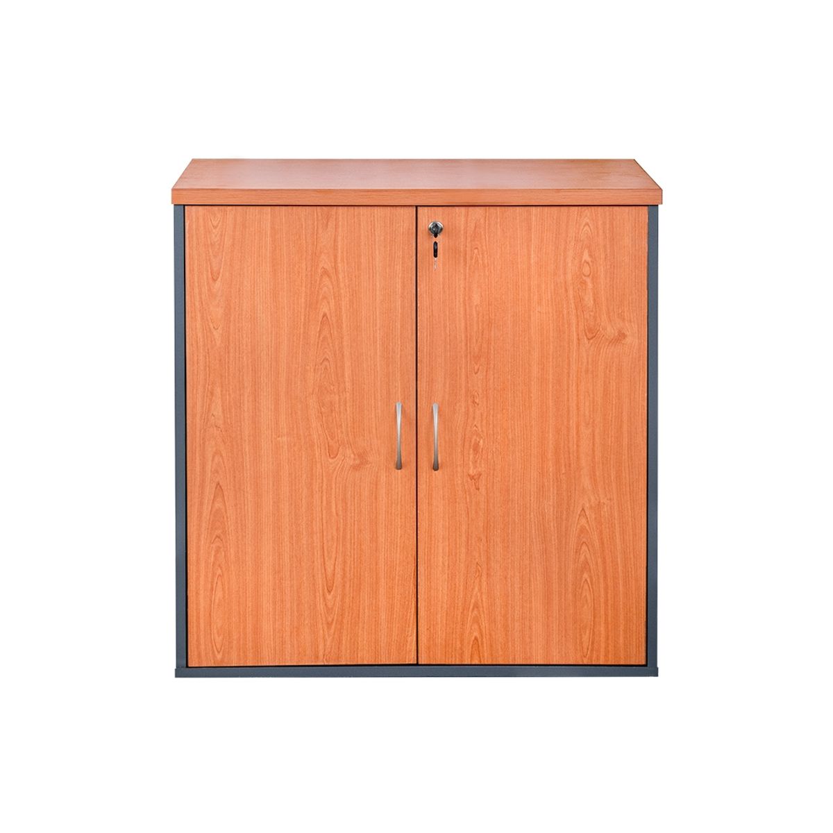 GENERICO - Estante Melamina Compacta con Puertas y Llaves