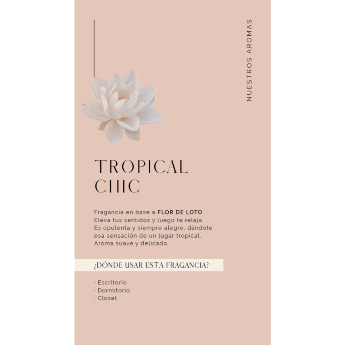 MADISON - Crema Humectante 500 Ml Tropical Chic Ámbar Madison.-