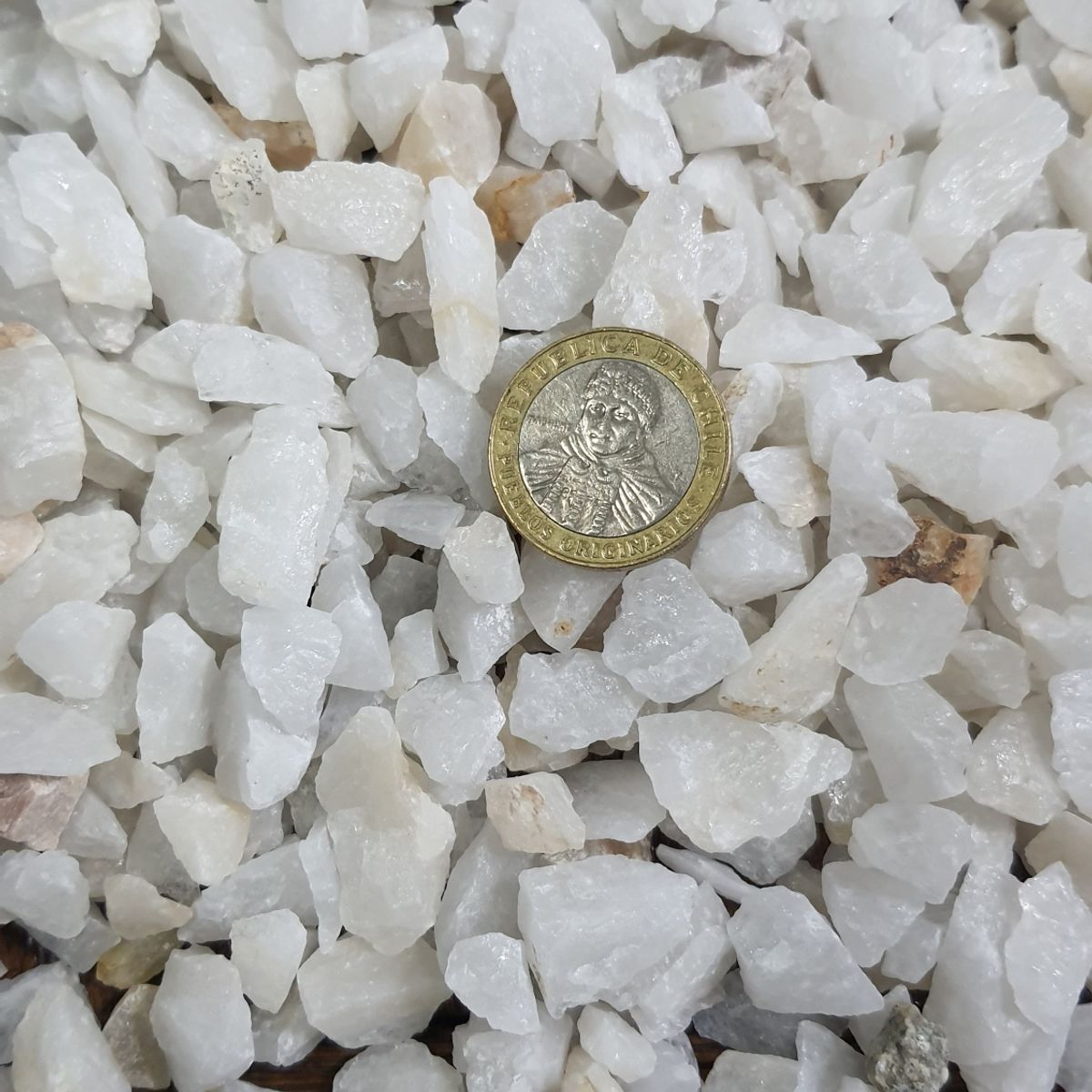 GENERICO - Piedra Cuarzo natural blanco bolsa 2 kilos para maceteros.