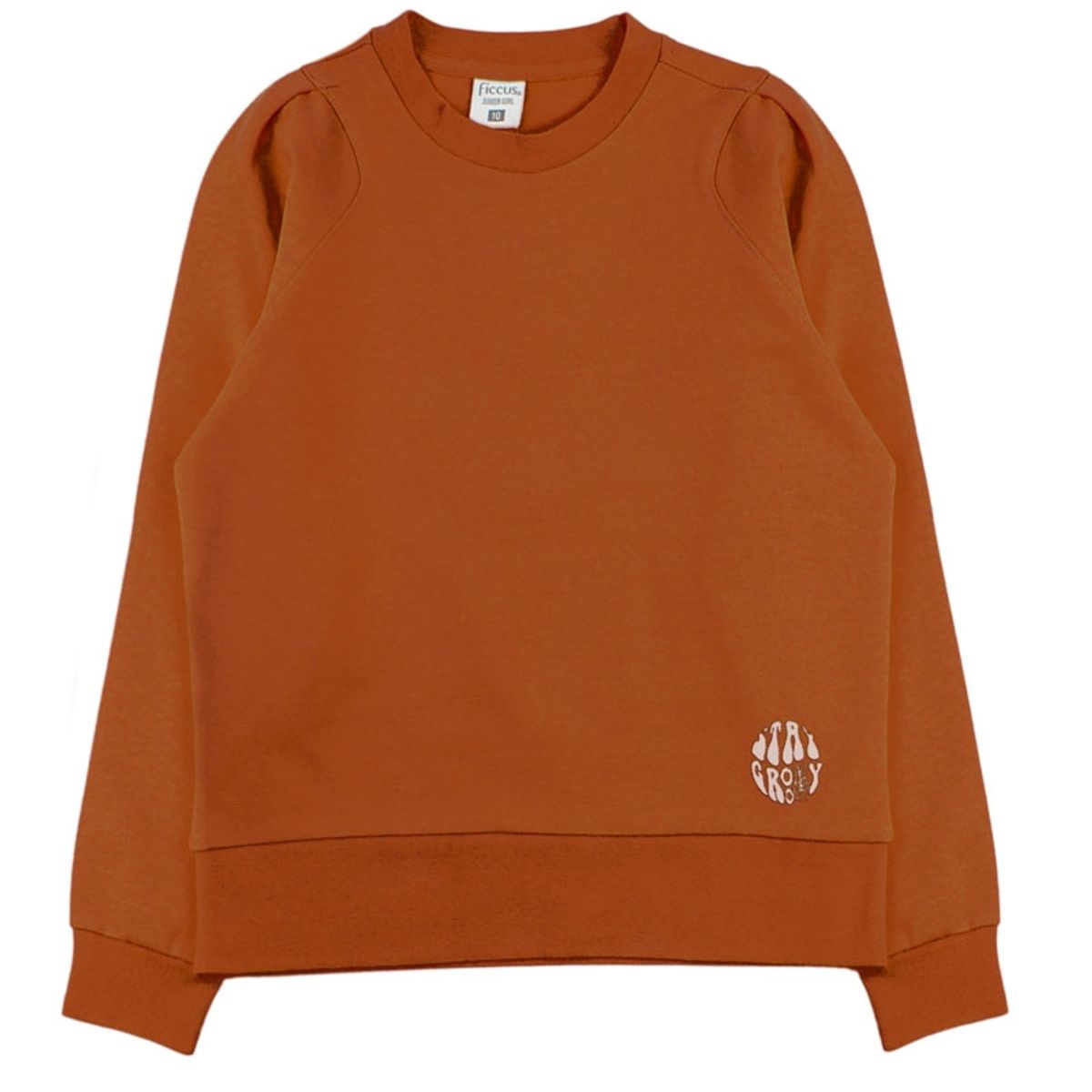 FICCUS - Poleron jr niña cerrado outside 371