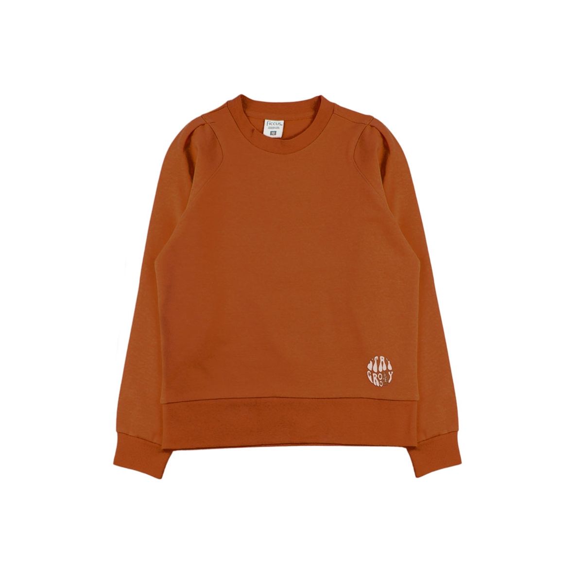 FICCUS - Poleron jr niña cerrado outside 371