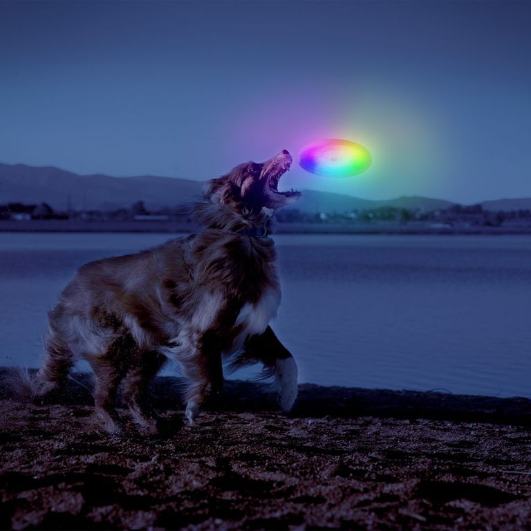 Disco volador Dog DiscuitTM LED - Disc-O