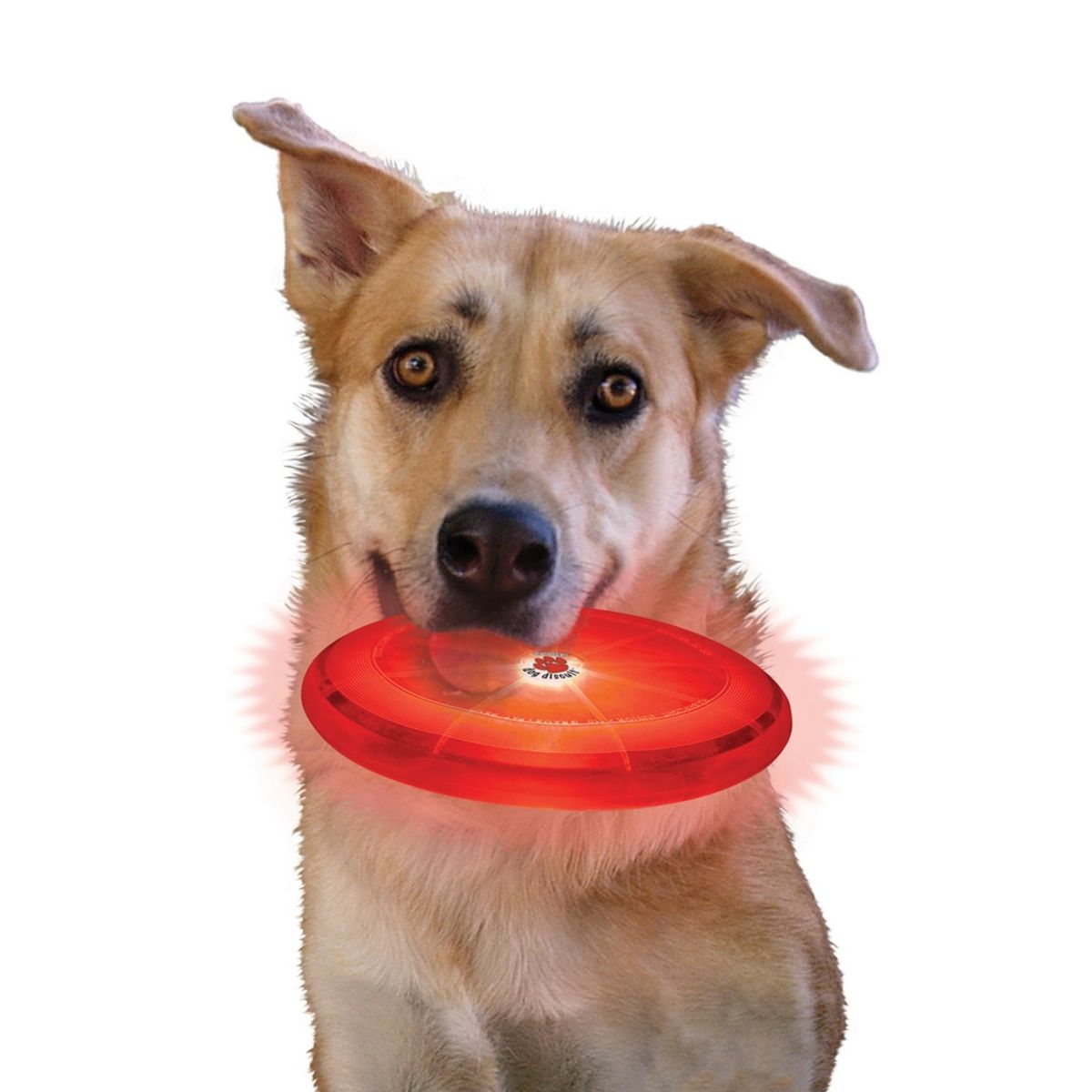 NITE IZE - Disco volador Dog Discuit™ LED - Disc-O Nite Ize