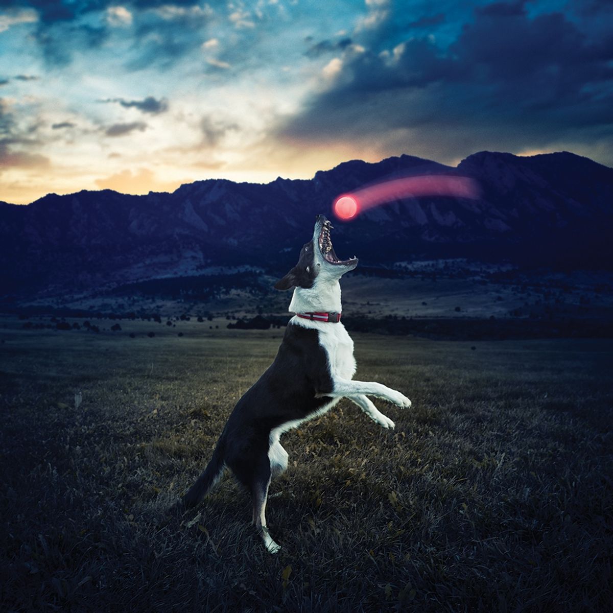 NITE IZE - Pelota GlowStreak® LED Nite Ize