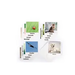 SEIGARD - Set De 60 Láminas Imágenes Reales SEG201 Multicolor