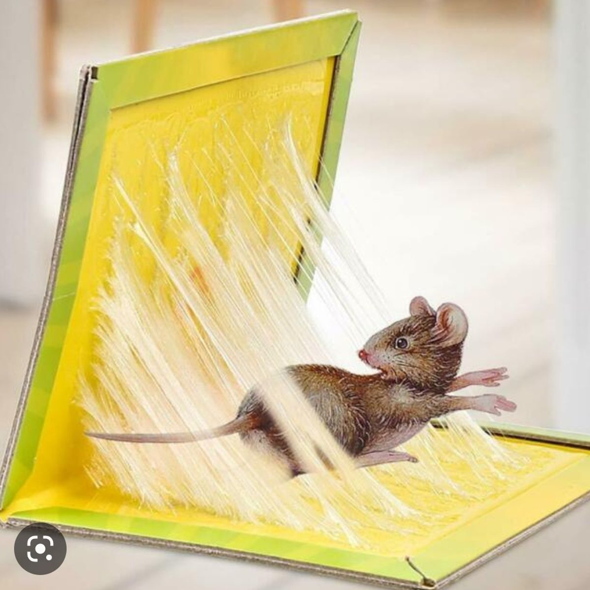 GENERICO - Trampa para Ratones Pegajosa Desratizacion Pack 10 Unidades