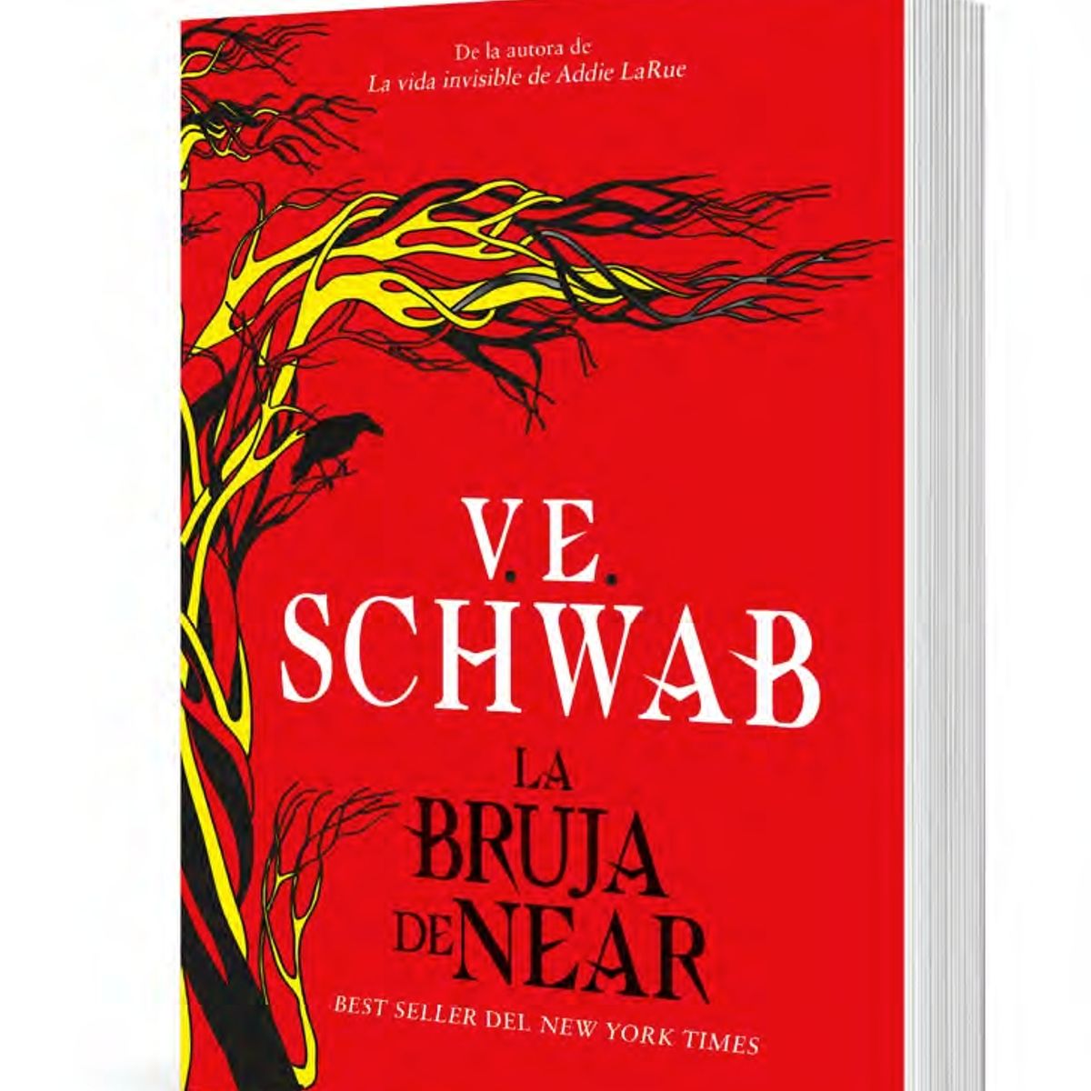 TOP10BOOKS - LIBRO La Bruja De Near - La Bruja De Near