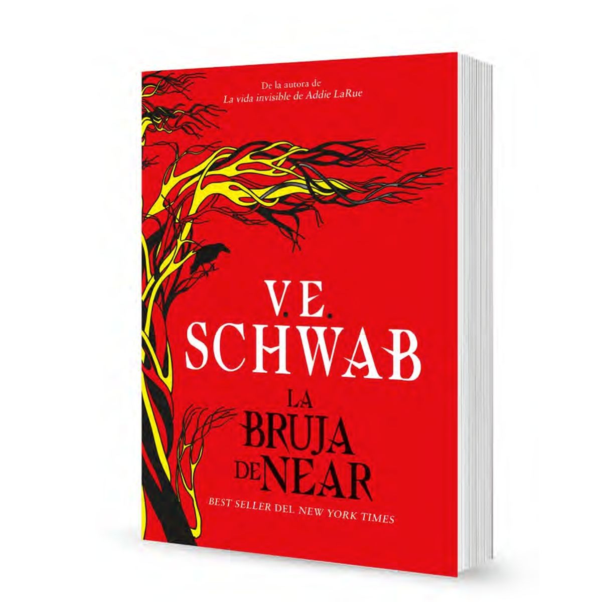 TOP10BOOKS - LIBRO La Bruja De Near - La Bruja De Near