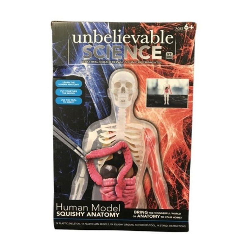GENERICO - Muñeco Cuerpo Humano Anatomía Science Squad