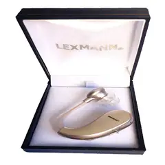 GENERICO - Audífonos sordera Lexmann ZR202 Platinum gama alta recargable