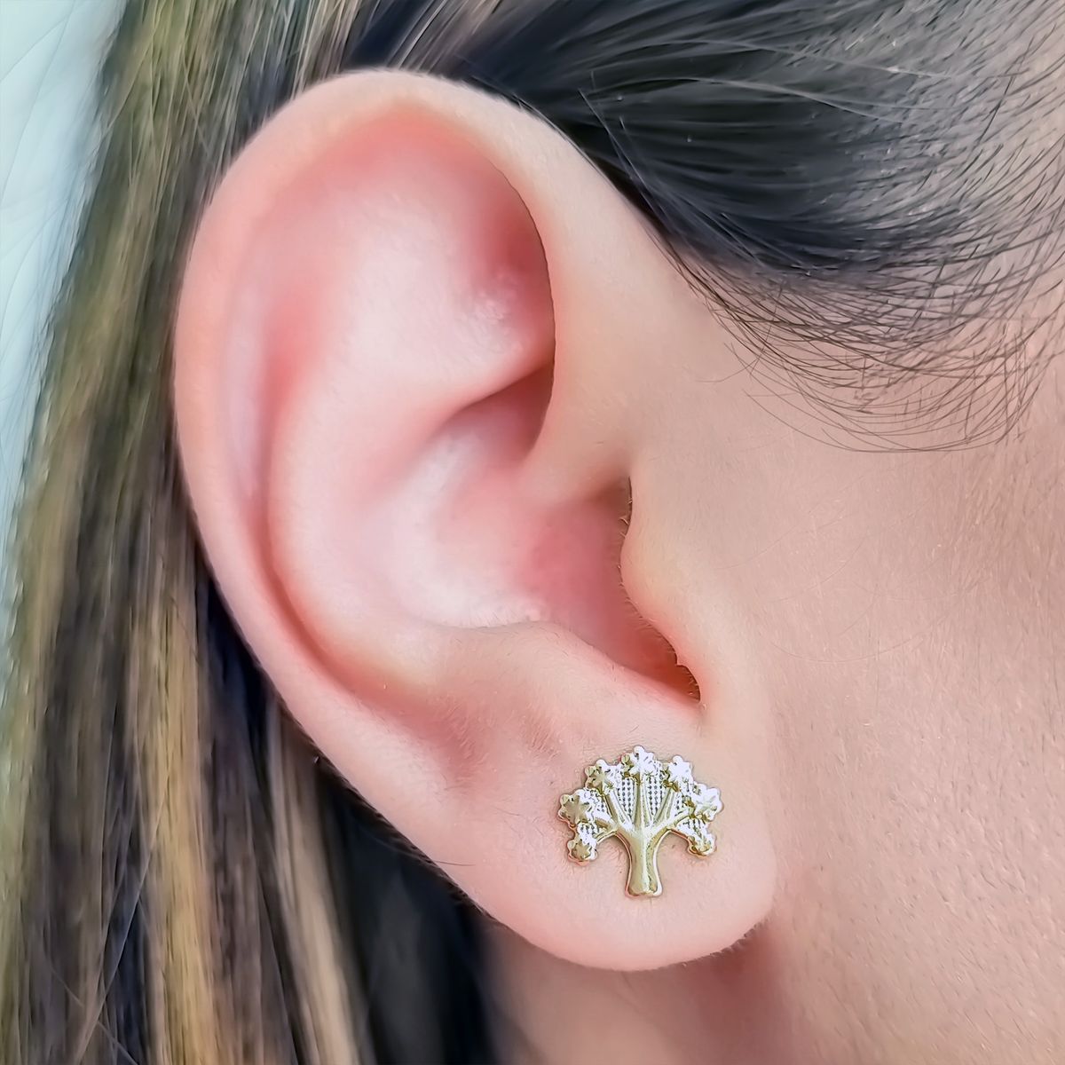 COGGIOLA - Aros Árbol De La Vida Enchapado Oro 18K