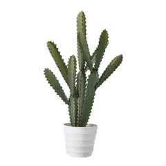 HOME GARDEN CHILE - Cactus Artificial 66 cm