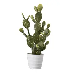 HOME GARDEN CHILE - Cactus Artificial 67 cm