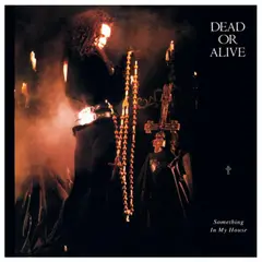 HITWAY MUSIC - DEAD OR ALIVE - SOMETHING IN MY HOUSE - 12" MAXI SINGLE VINILO