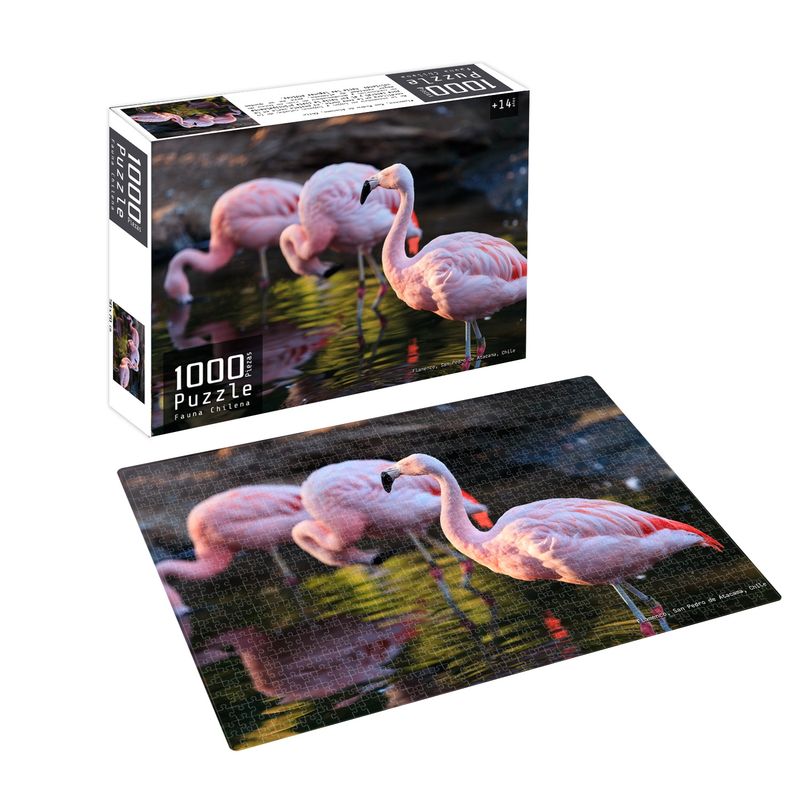 PRONOBEL - Puzzle 1000 Piezas Fauna Chilena Flamenco Nobel Gift
