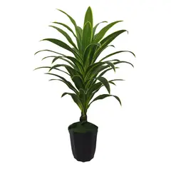 HOME GARDEN CHILE - Planta Artificial Dracaena 140cm yellow green