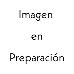 GENERICO - Collar Acero Con Dije Letra Inicial E
