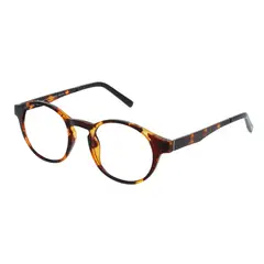 INVU - Lentes de lectura B6201 CR Matt Demi +1.00 Gafas