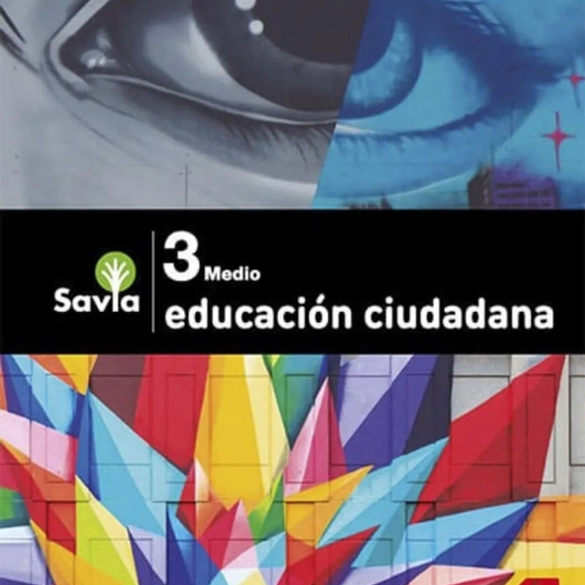 TOP10BOOKS - EDUCACION CIUDADANA3 MEDIO - SAVIA. Editorial: Ediciones SM