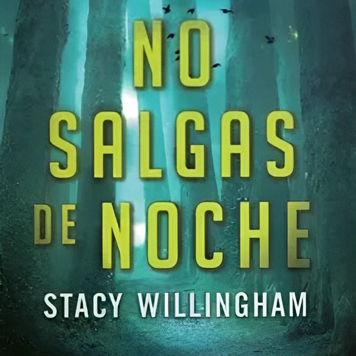 TOP10BOOKS - LIBRO No Salgas De Noche - No Salgas De Noche