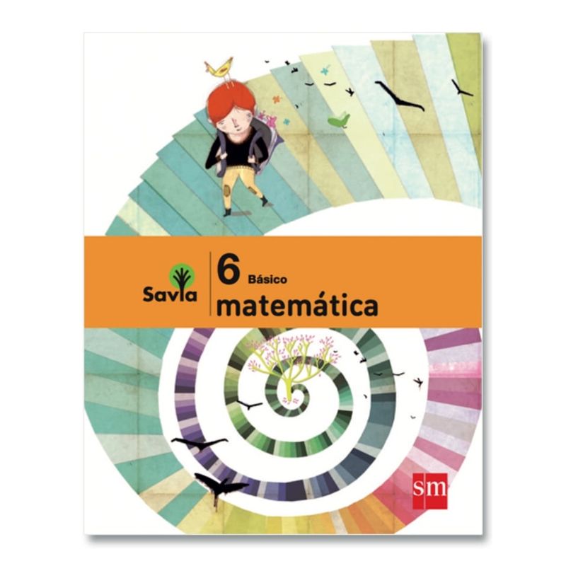 TOP10BOOKS - TEXTO SET MATEMATICA 6 - SAVIA / EDICIONES SM / EDICIONES SM