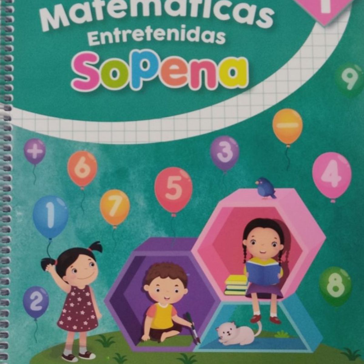 TOP10BOOKS - TEXTO Cuaderno De Matematicas Entretenidas 1 - Sopena