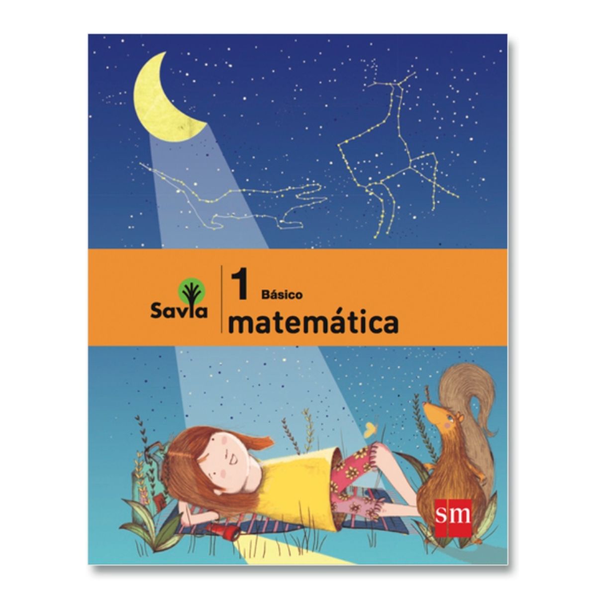 TOP10BOOKS - LIBRO Set Matematica 1 - Savia - Ediciones Sm