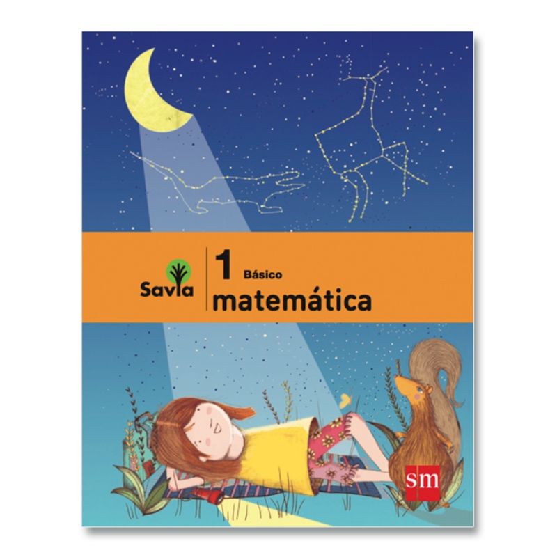 TOP10BOOKS - TEXTO SET MATEMATICA 1 - SAVIA / EDICIONES SM / EDICIONES SM