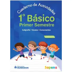 TOP10BOOKS - CUADERNO DE ACTIVIDADES 1 BÁSICO - 1ER SEMESTRE HORIZONTAL. Editorial: Sopena