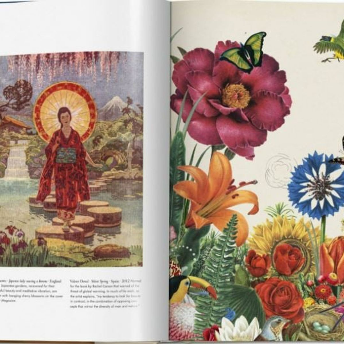 TASCHEN - Gb - Esotérica - Plant Magick