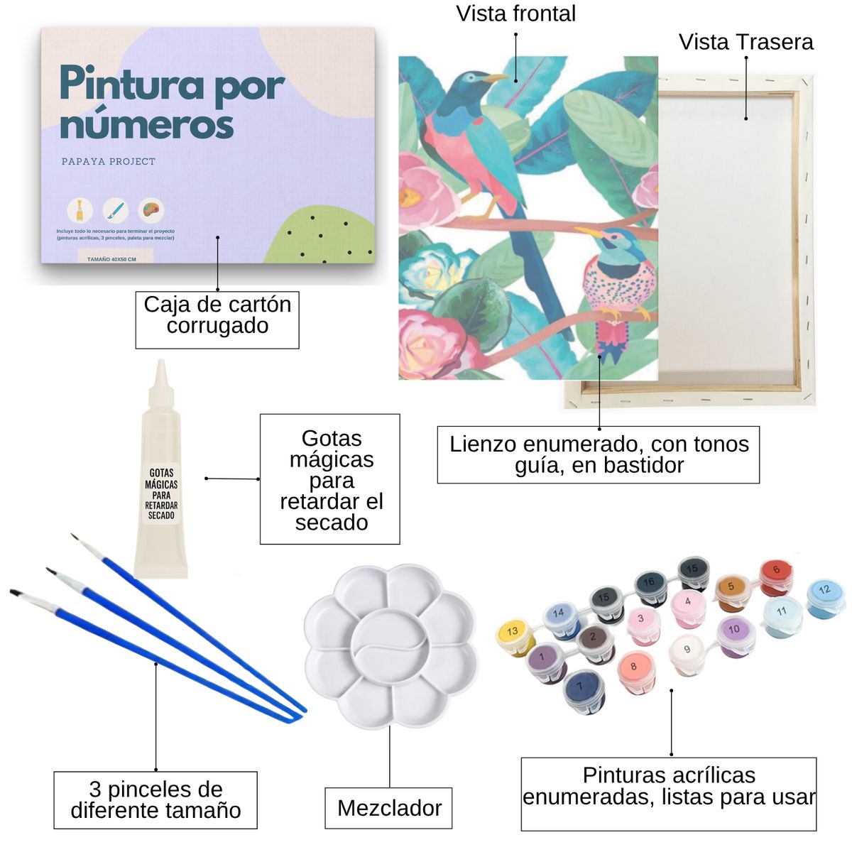 GENERICO - Pintura Por Números - Marco Incluido - Paint By Numbers