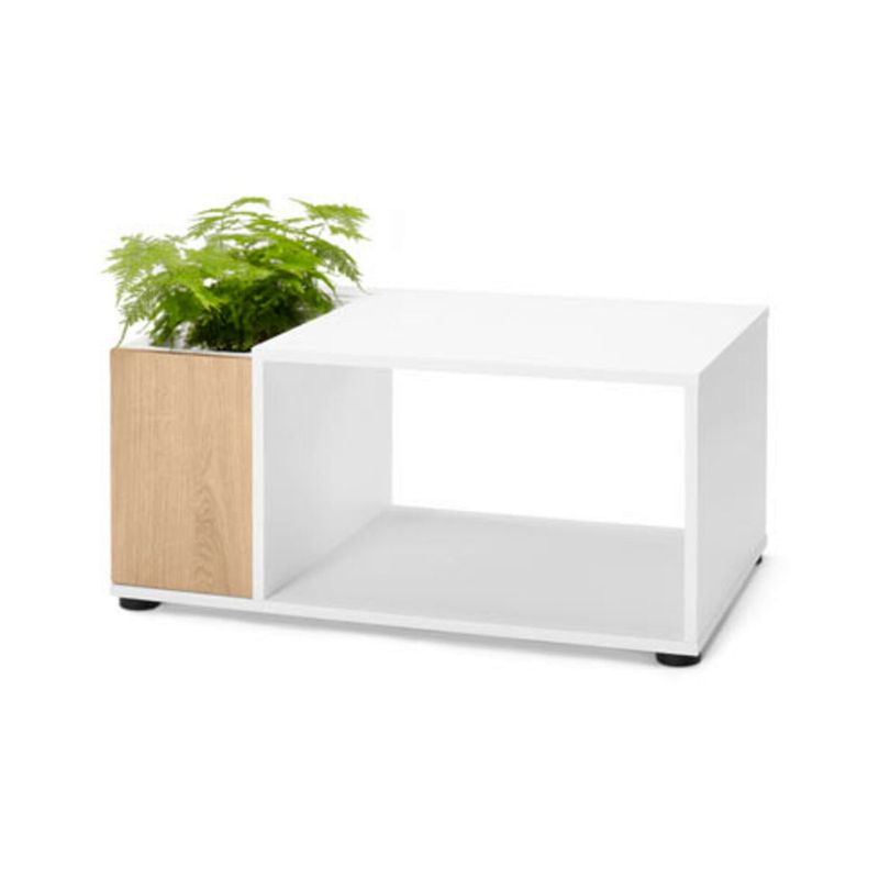 TCHIBO - Mesa De salón Madera Para Plantar