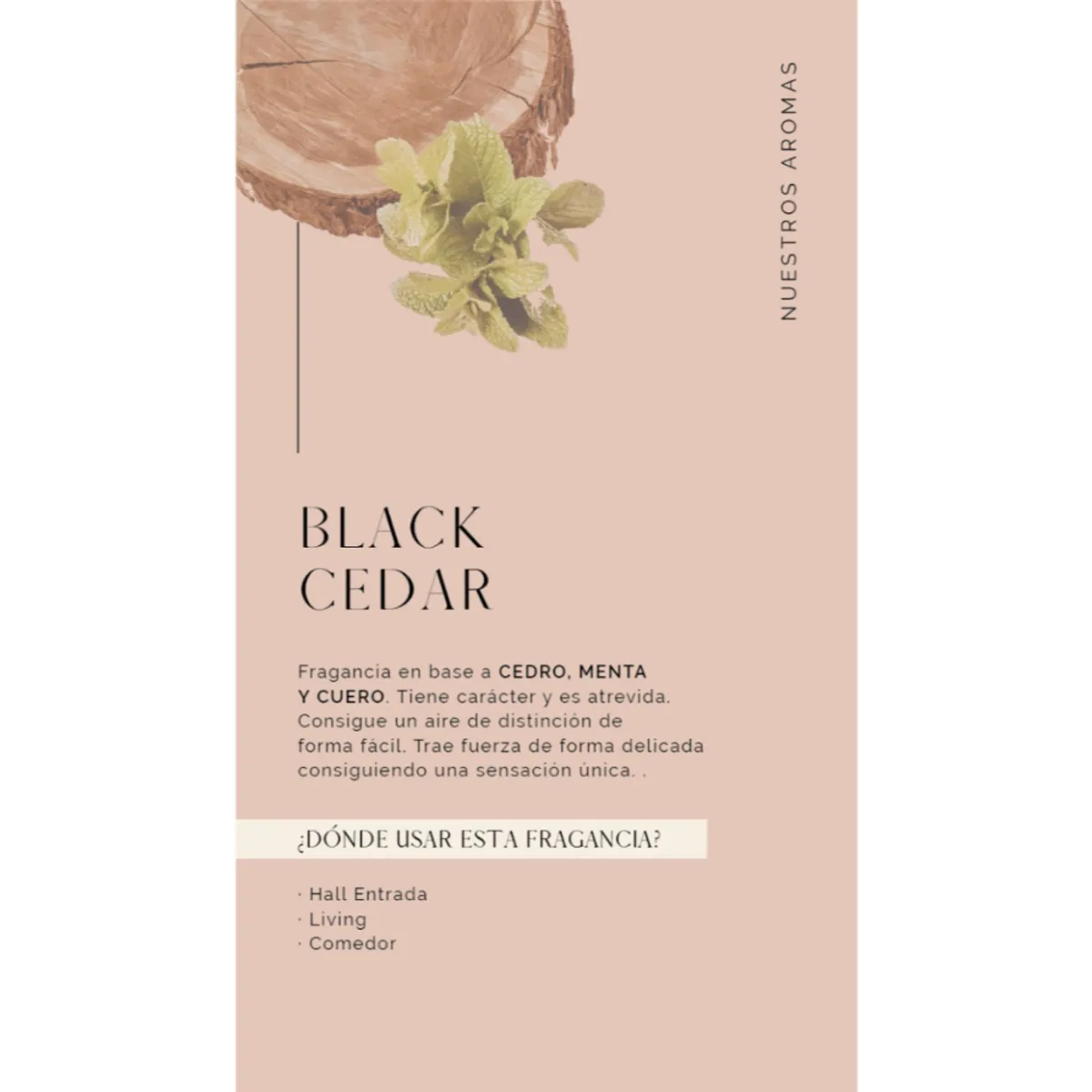 MADISON - Crema Humectante 500 Ml Black Cedar Transparente Madison.-