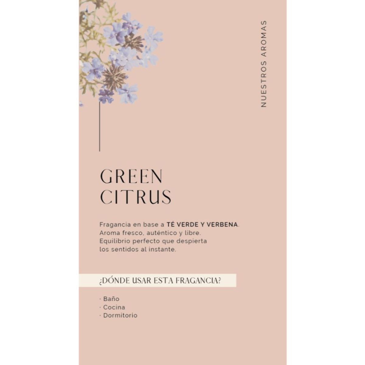 MADISON - Crema Humectante 500 Ml Green Citrus Transparente Madison
