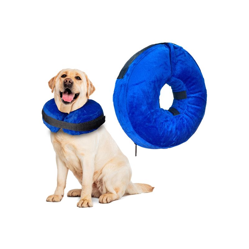 GENERICO - Collar Isabelino Inflable Talla L