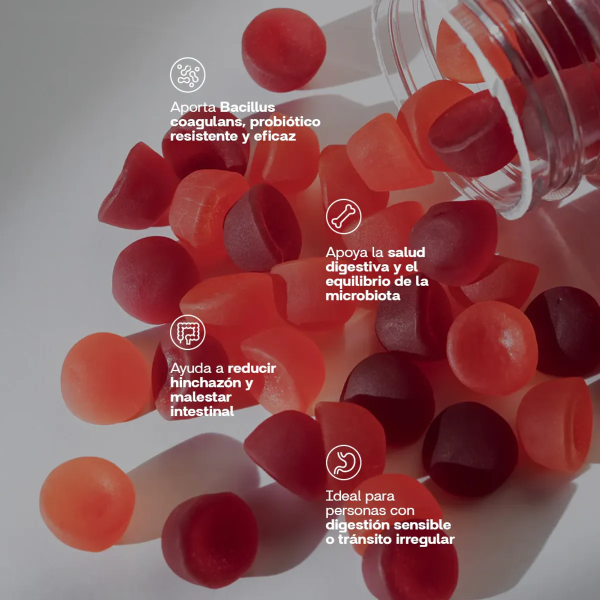 NEWPHARMA - Probióticos - Gomitas 60 Unidades