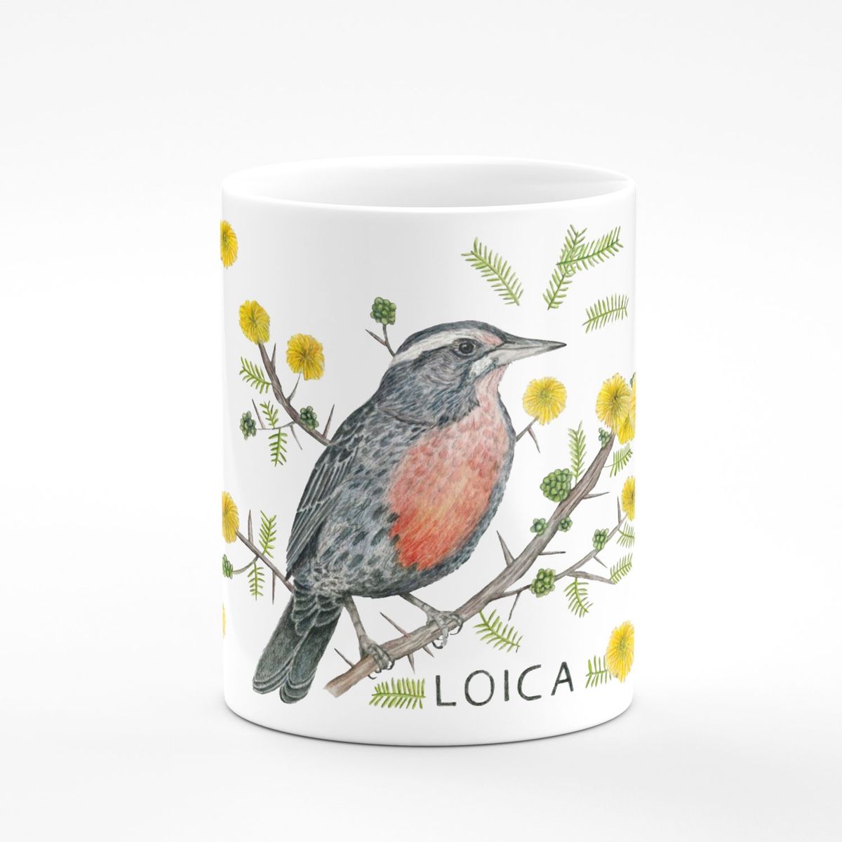 MARTIN BORDADOR - tazon Loica