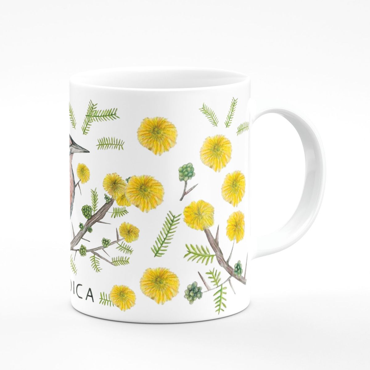 MARTIN BORDADOR - tazon Loica