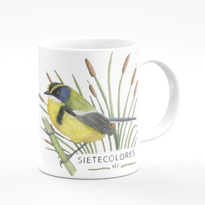 Imagen 2 del producto Tazón Sietecolores