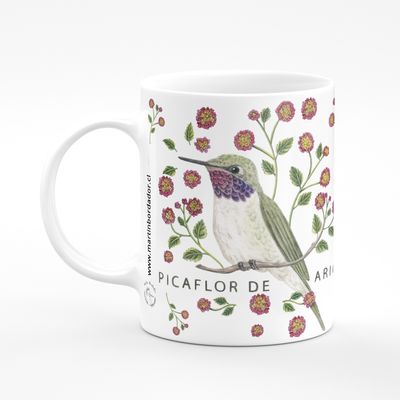 Martin Bordador Tazón Picaflor De Arica