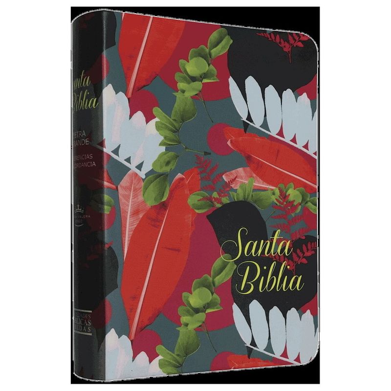 ANTARTICA LIBROS - Biblia RVRO65 CB Colores