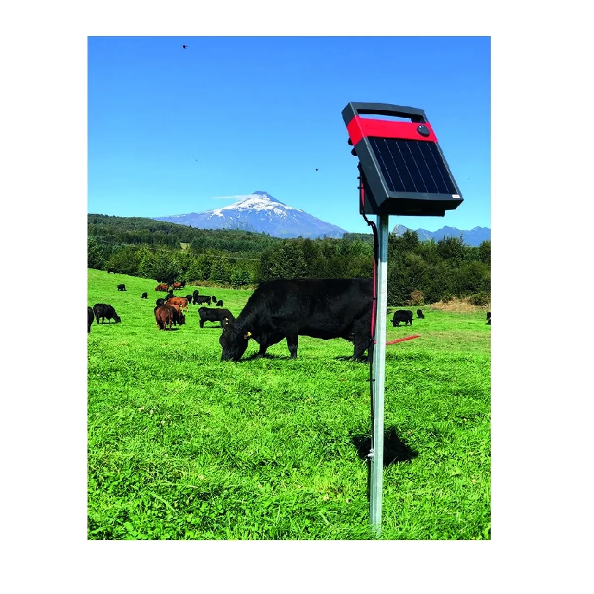 SPEEDRITE - Energizador Cerco Ganadero Solar S80