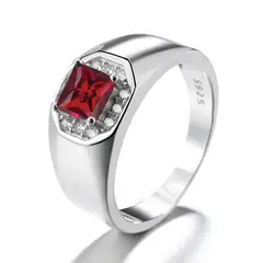 GENERICO - Anillo Plata 925 Sello Unisex Circones Diseño Clásico Joya