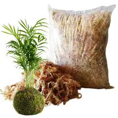 GENERICO - MUSGO SPHAGNUM PARA KOKEDAMAS 1 kilo
