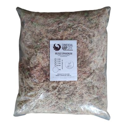 Imagen 2 del producto MUSGO SPHAGNUM PARA KOKEDAMAS 1 kilo