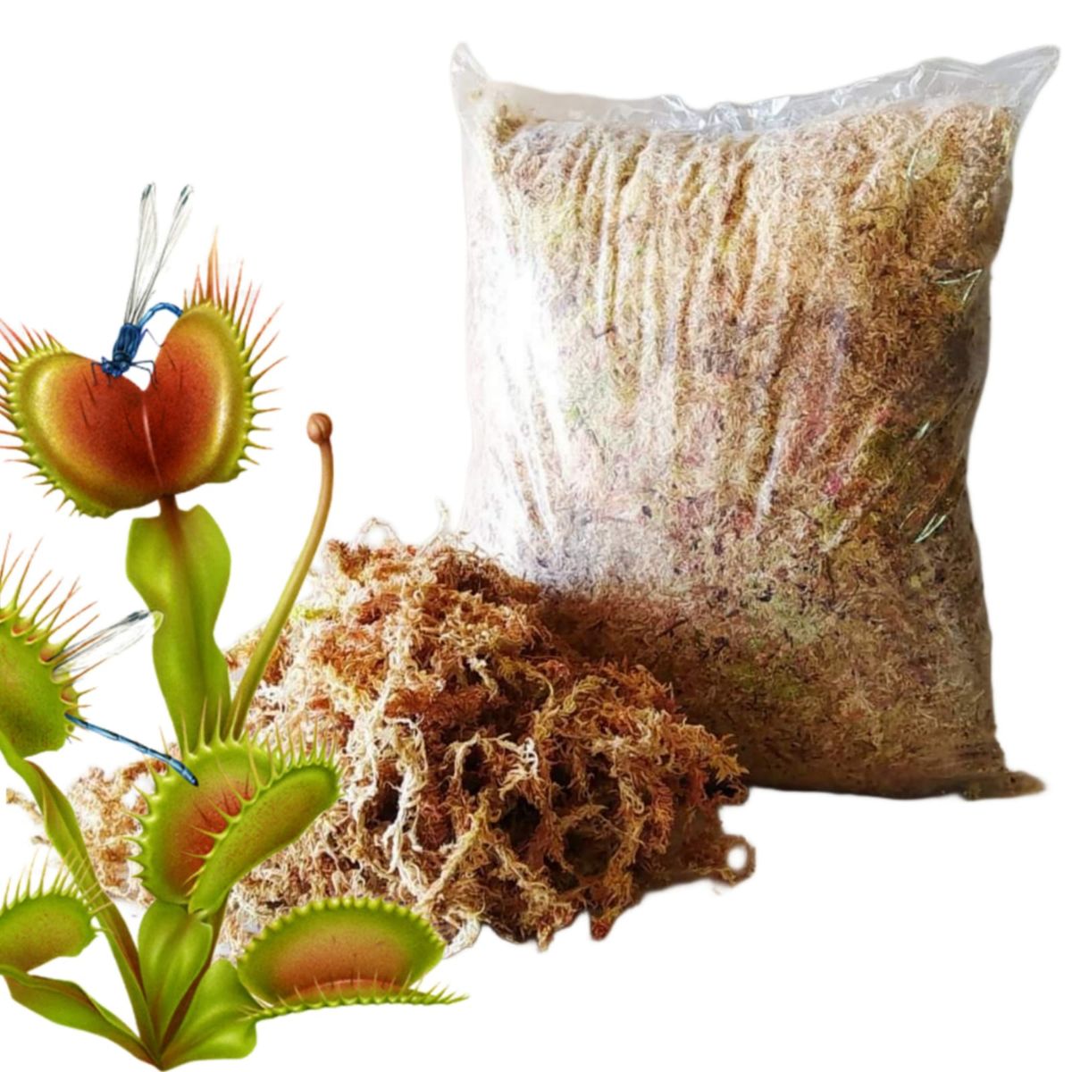 GENERICO - MUSGO SPHAGNUM PARA PLANTAS CARNIVORAS 1 kilo