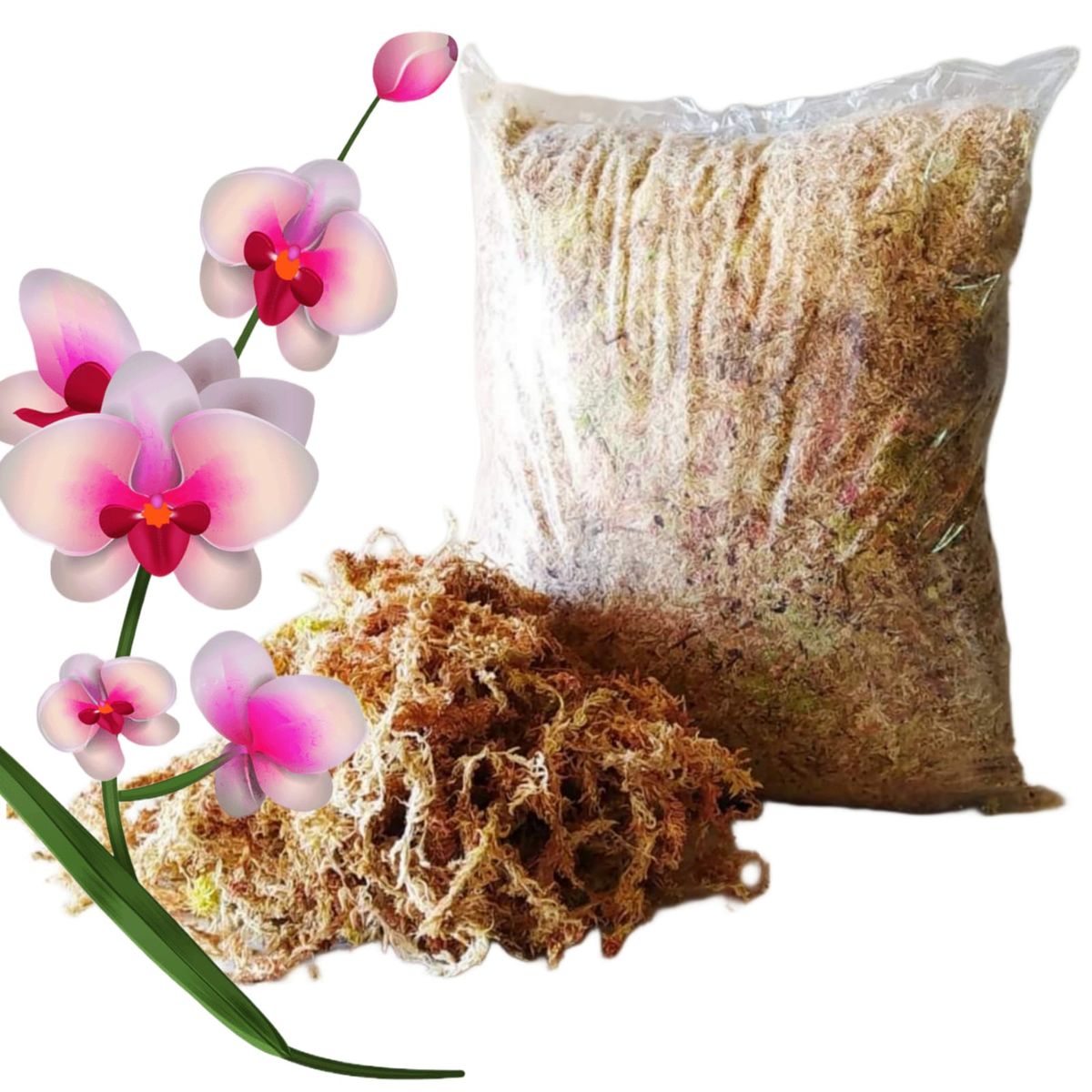 GENERICO - MUSGO SPHAGNUM PARA ORQUIDEAS 1 kilo