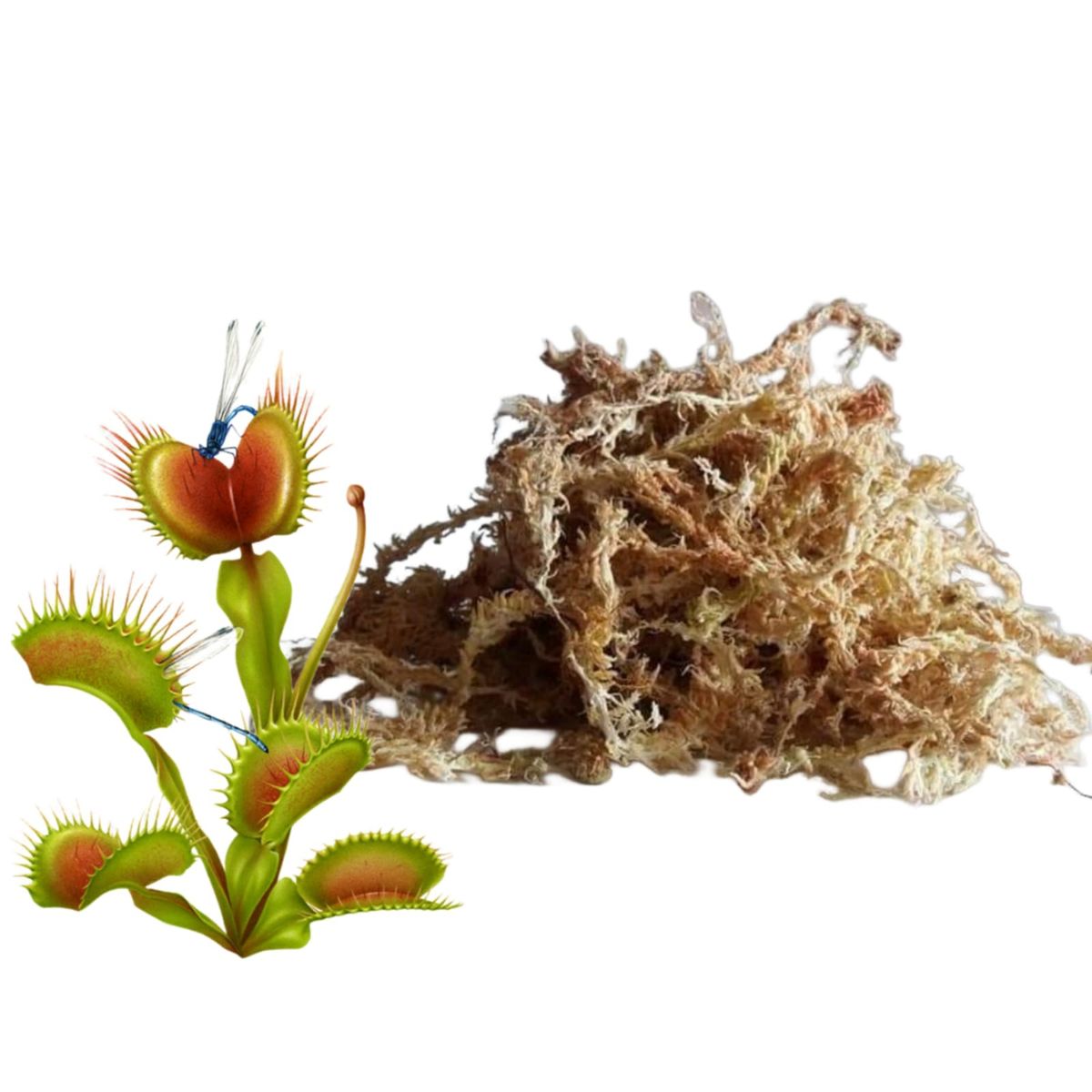 GENERICO - MUSGO SPHAGNUM PARA PLANTAS CARNIVORAS 5 kilos