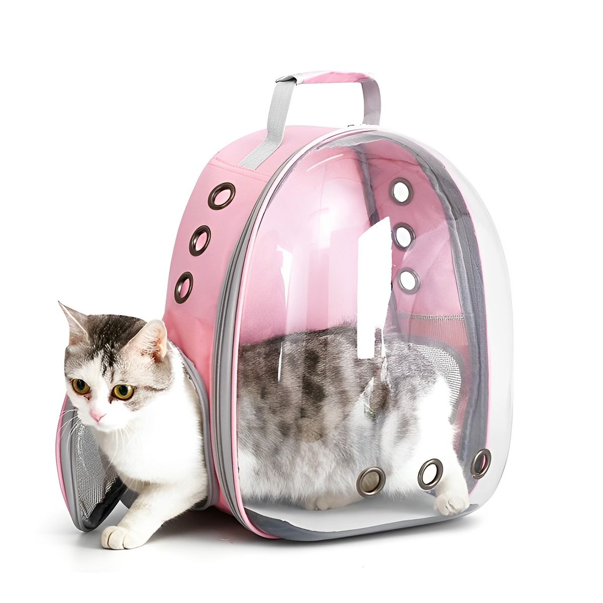 MUNDO ONLINE - Mochila Bolso Transporte Mascota Perros Gatos